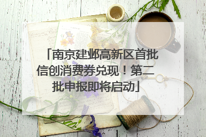 南京建邺高新区首批信创消费券兑现！第二批申报即将启动