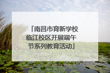 南昌市育新学校临江校区开展端午节系列教育活动