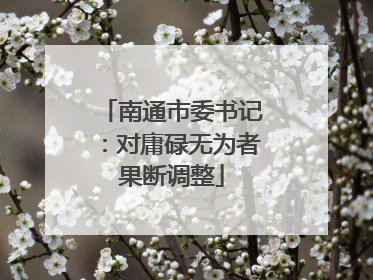 南通市委书记：对庸碌无为者果断调整