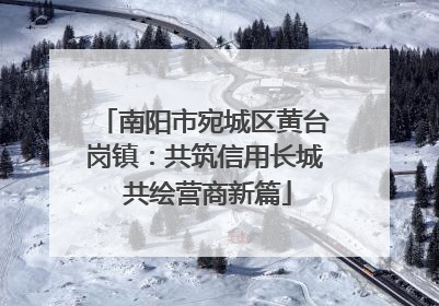 南阳市宛城区黄台岗镇：共筑信用长城 共绘营商新篇