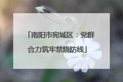 南阳市宛城区：党群合力筑牢禁烧防线