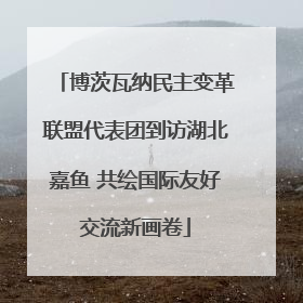 博茨瓦纳民主变革联盟代表团到访湖北嘉鱼 共绘国际友好交流新画卷