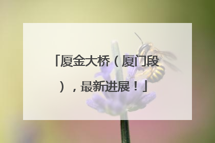 厦金大桥（厦门段），最新进展！