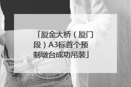 厦金大桥（厦门段）A3标首个预制墩台成功吊装