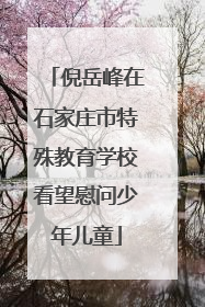 倪岳峰在石家庄市特殊教育学校看望慰问少年儿童