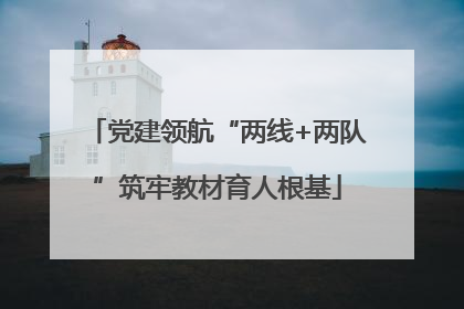 党建领航“两线+两队”筑牢教材育人根基