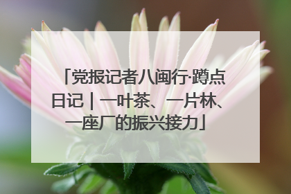 党报记者八闽行·蹲点日记｜一叶茶、一片林、一座厂的振兴接力
