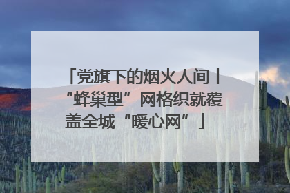 党旗下的烟火人间丨“蜂巢型”网格织就覆盖全城“暖心网”
