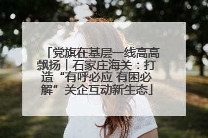 党旗在基层一线高高飘扬丨石家庄海关：打造“有呼必应 有困必解”关企互动新生态