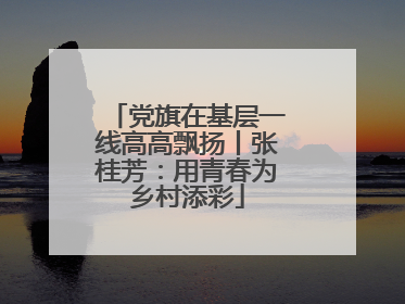 党旗在基层一线高高飘扬丨张桂芳：用青春为乡村添彩