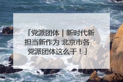 党派团体｜新时代新担当新作为 北京市各党派团体这么干！