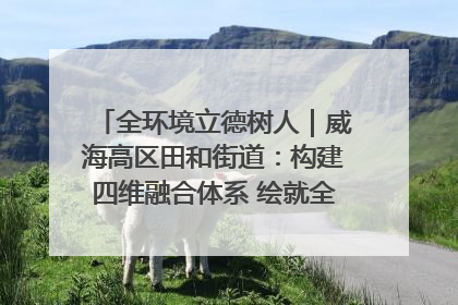 全环境立德树人｜威海高区田和街道：构建四维融合体系 绘就全环境立德树人新画卷