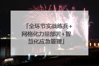 全环节实战练兵+网格化力量部署+智慧化应急管理