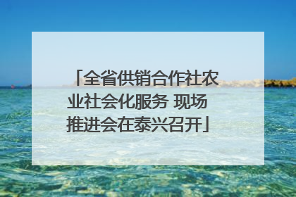 全省供销合作社农业社会化服务 现场推进会在泰兴召开