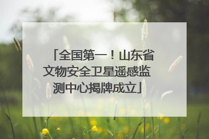 全国第一！山东省文物安全卫星遥感监测中心揭牌成立