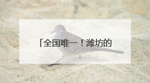 全国唯一！潍坊的他，为国家级非遗代表性传承人代言