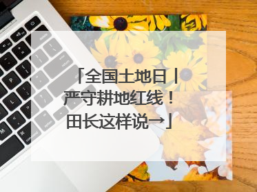 全国土地日丨严守耕地红线！田长这样说→