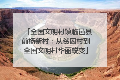 全国文明村镇临邑县前杨新村：从贫困村到全国文明村华丽蜕变