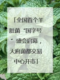 全国首个羊肚菌“国字号”盛会启幕，天府菌都交易中心开市