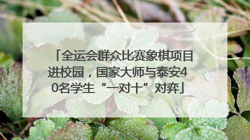 全运会群众比赛象棋项目进校园，国家大师与泰安40名学生“一对十”对弈