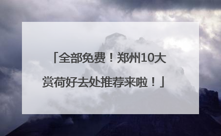 全部免费！郑州10大赏荷好去处推荐来啦！