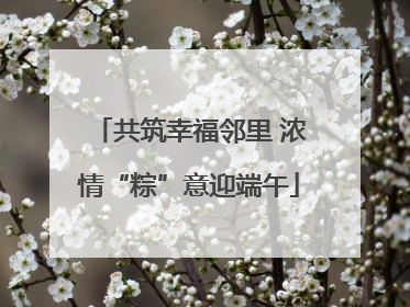 共筑幸福邻里 浓情“粽”意迎端午