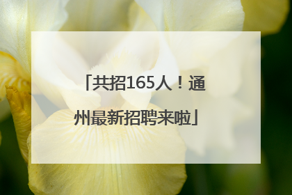 共招165人！通州最新招聘来啦