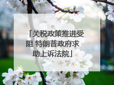 关税政策推进受阻 特朗普政府求助上诉法院