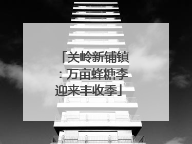关岭新铺镇：万亩蜂糖李迎来丰收季