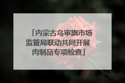 内蒙古乌审旗市场监管局联动共同开展肉制品专项检查