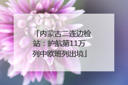 内蒙古二连边检站：护航第11万列中欧班列出境