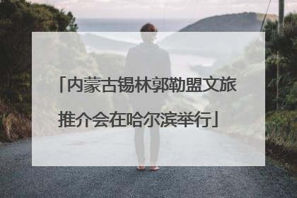 内蒙古锡林郭勒盟文旅推介会在哈尔滨举行