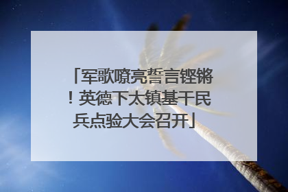 军歌嘹亮誓言铿锵！英德下太镇基干民兵点验大会召开