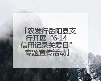农发行岳阳县支行开展“6·14信用记录关爱日” 专题宣传活动