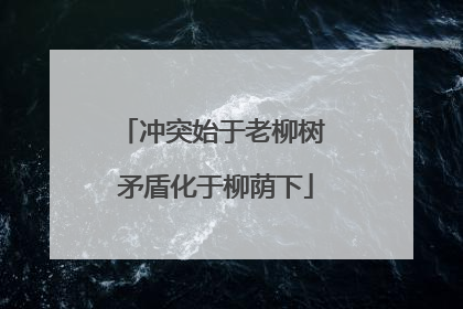 冲突始于老柳树 矛盾化于柳荫下