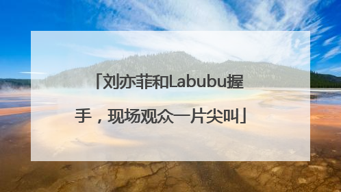 刘亦菲和Labubu握手，现场观众一片尖叫