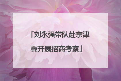 刘永强带队赴京津冀开展招商考察