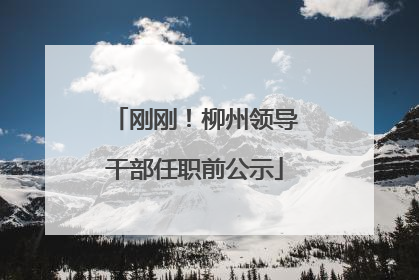 刚刚！柳州领导干部任职前公示