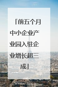 前五个月中小企业产业园入驻企业增长超三成