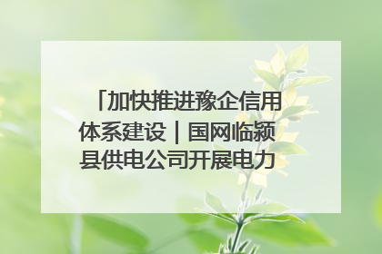 加快推进豫企信用体系建设｜国网临颍县供电公司开展电力行业信用企业现场咨询访谈工作