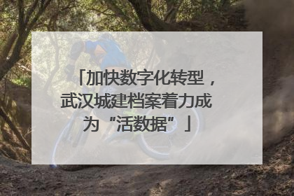 加快数字化转型，武汉城建档案着力成为“活数据”