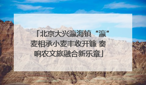 北京大兴瀛海镇“瀛”麦相承小麦丰收开镰 奏响农文旅融合新乐章