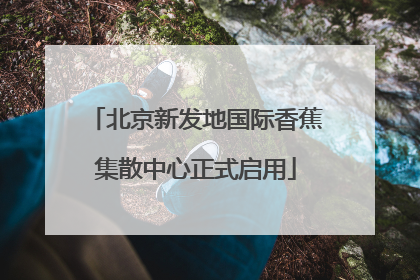 北京新发地国际香蕉集散中心正式启用