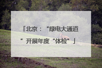 北京：“绿电大通道”开展年度“体检”