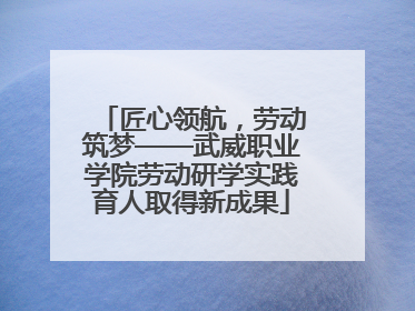 匠心领航，劳动筑梦——武威职业学院劳动研学实践育人取得新成果