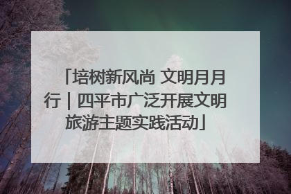 培树新风尚 文明月月行｜四平市广泛开展文明旅游主题实践活动