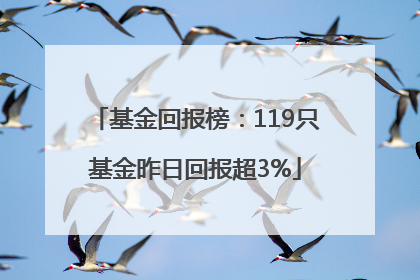 基金回报榜：119只基金昨日回报超3%