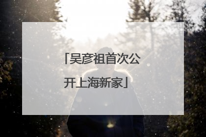 吴彦祖首次公开上海新家