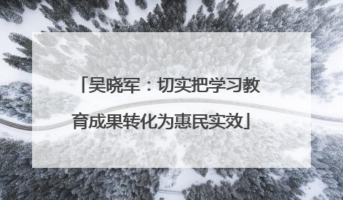 吴晓军：切实把学习教育成果转化为惠民实效