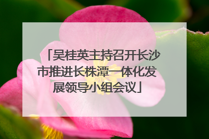 吴桂英主持召开长沙市推进长株潭一体化发展领导小组会议